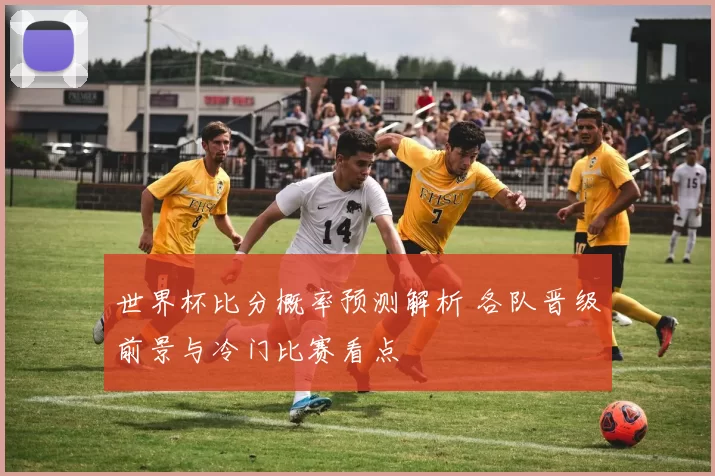 世界杯比分概率预测解析 各队晋级前景与冷门比赛看点
