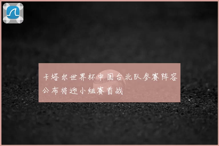 卡塔尔世界杯中国台北队参赛阵容公布将迎小组赛首战