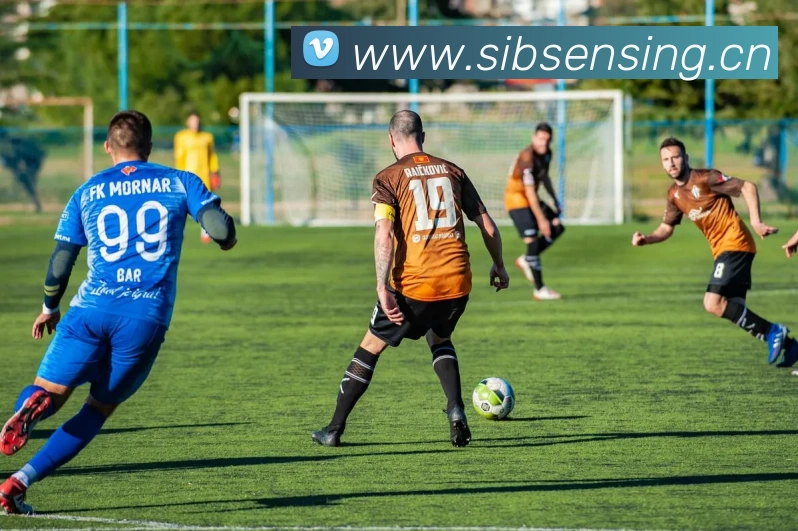 多媒体互动体验